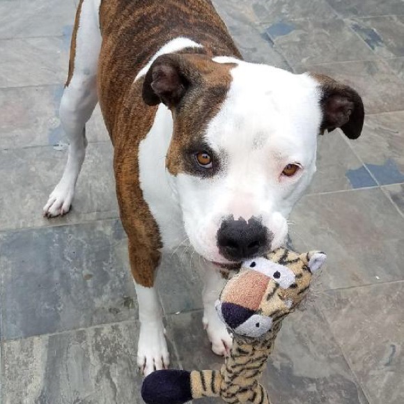 Meet your Posher, Jason - Picture 1 of 4